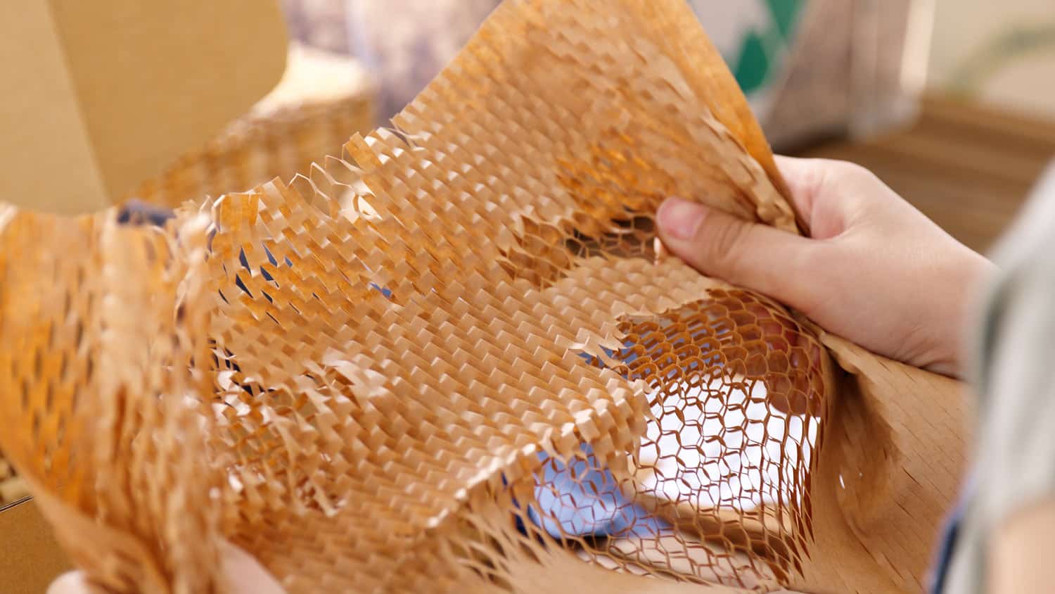 Woman Holding Gift Wrapping Paper