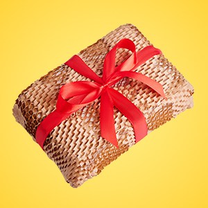 Gift wrapped present with honeycomb paper